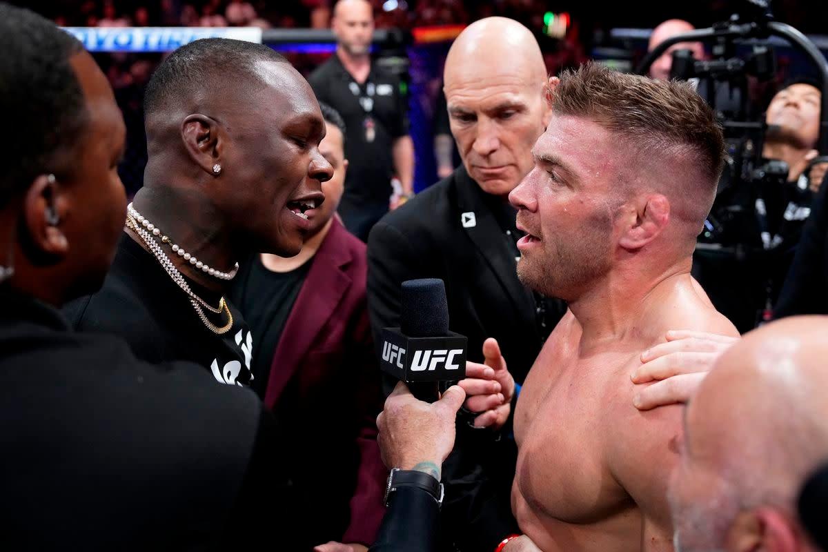 Israel Adesanya vs. Dricus Du Plessis: A Middleweight Showdown cover image