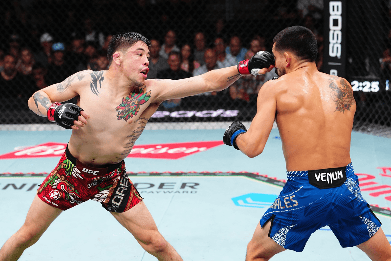 Noche UFC Mexico: Biggest Winners and Losers cover image