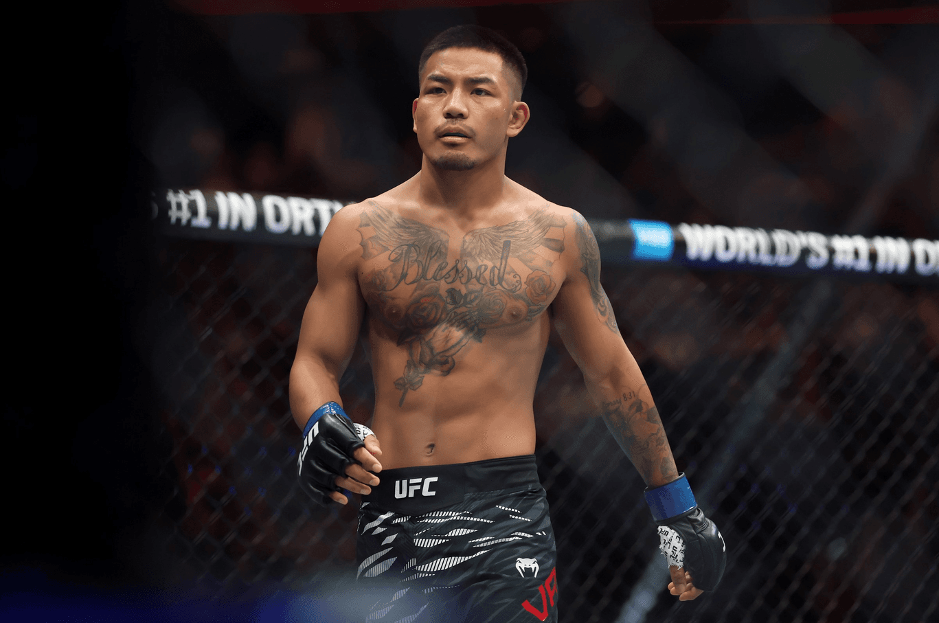 UFC 331 Results: Van Defeats Pantoja, Tsarukyan KO's Ruffy, Sharaf Stuns Steveson cover image